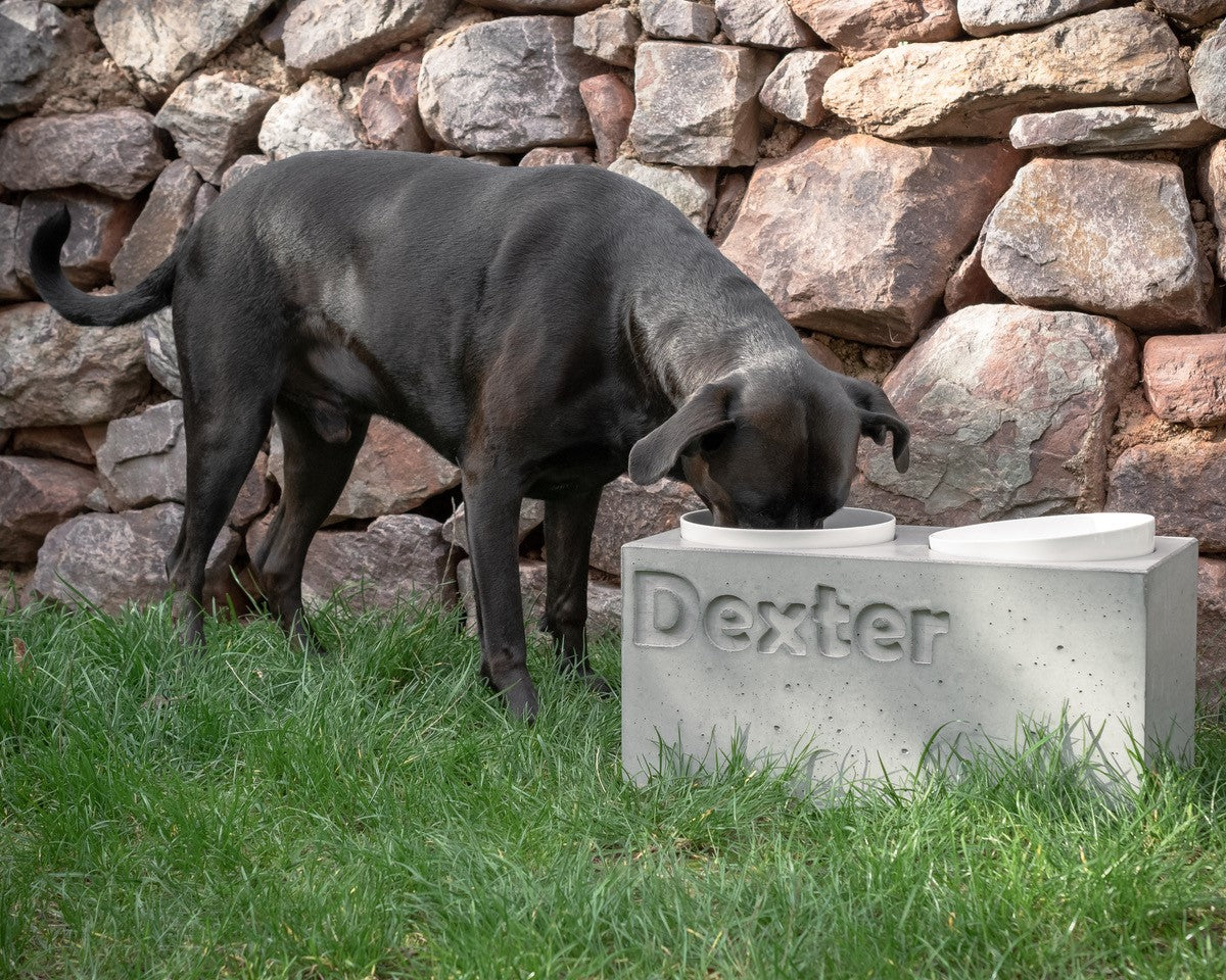 personalisierter Hundenapf Dexter - Betolz
